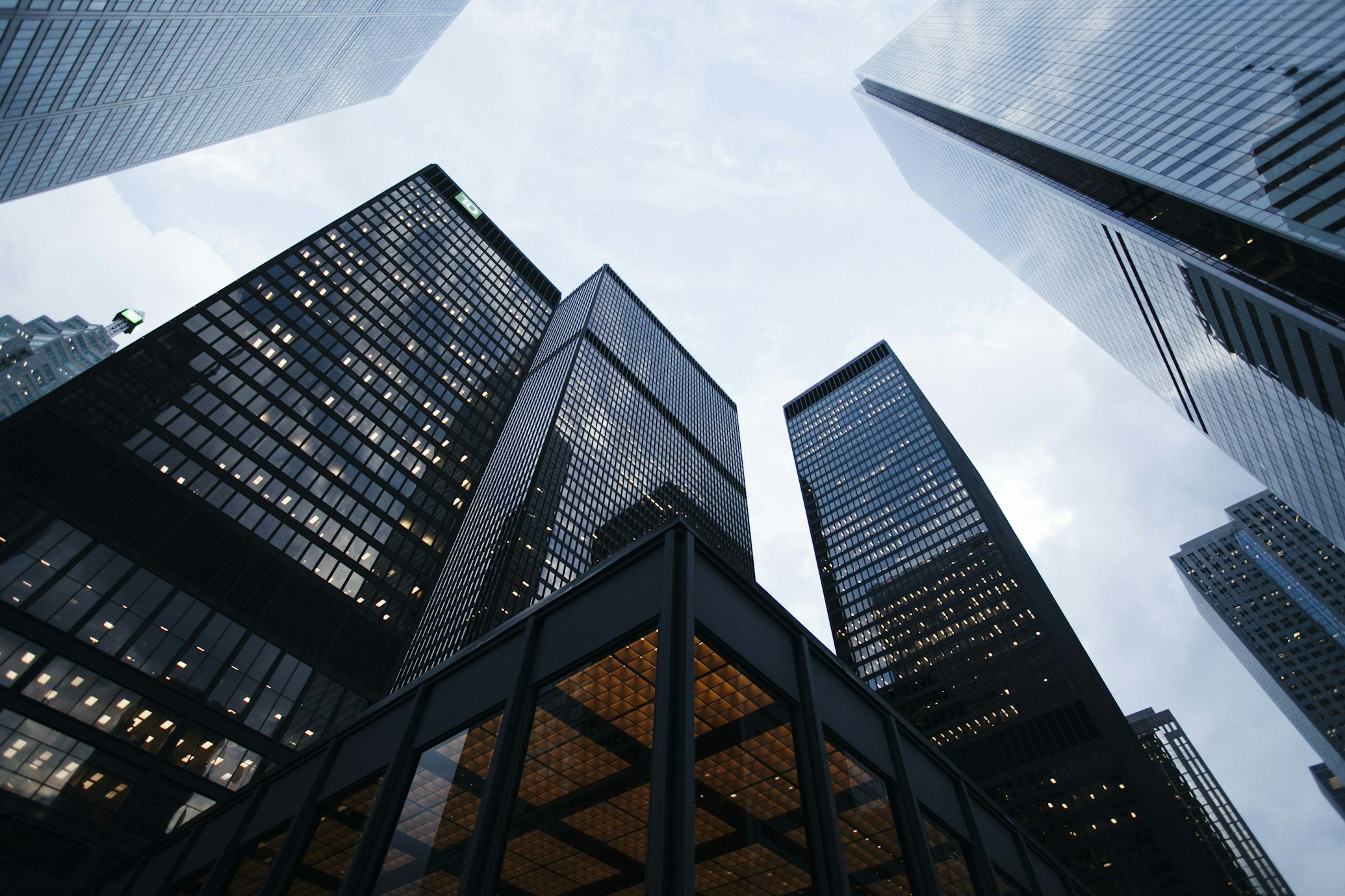 Diversification into Technology & Marketing